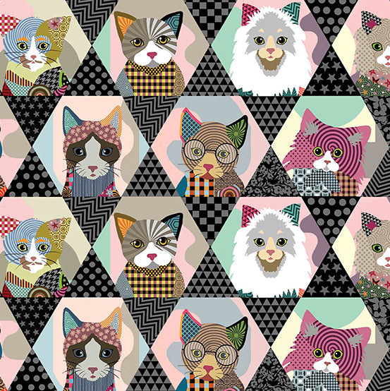 tumblr hipster backgrounds cats
