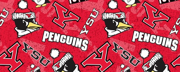 NCAA / YOUNGSTOWN STATE