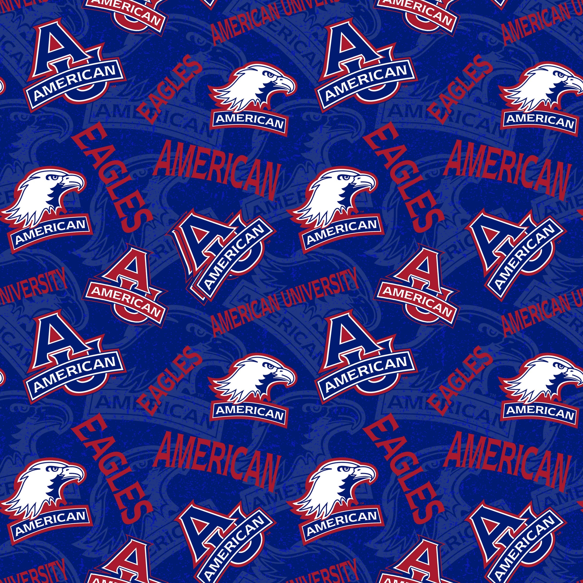 American University
