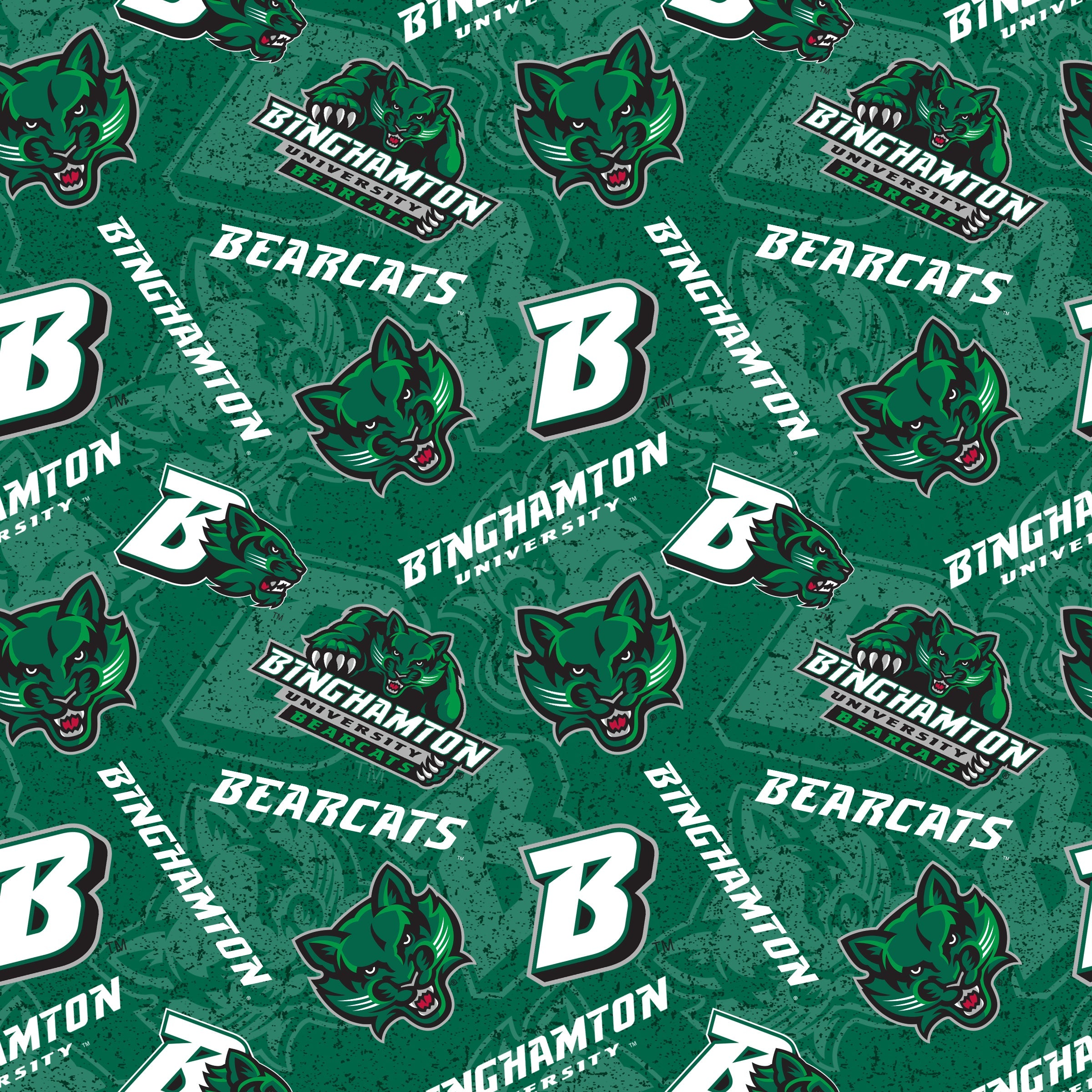 Binghamton University
