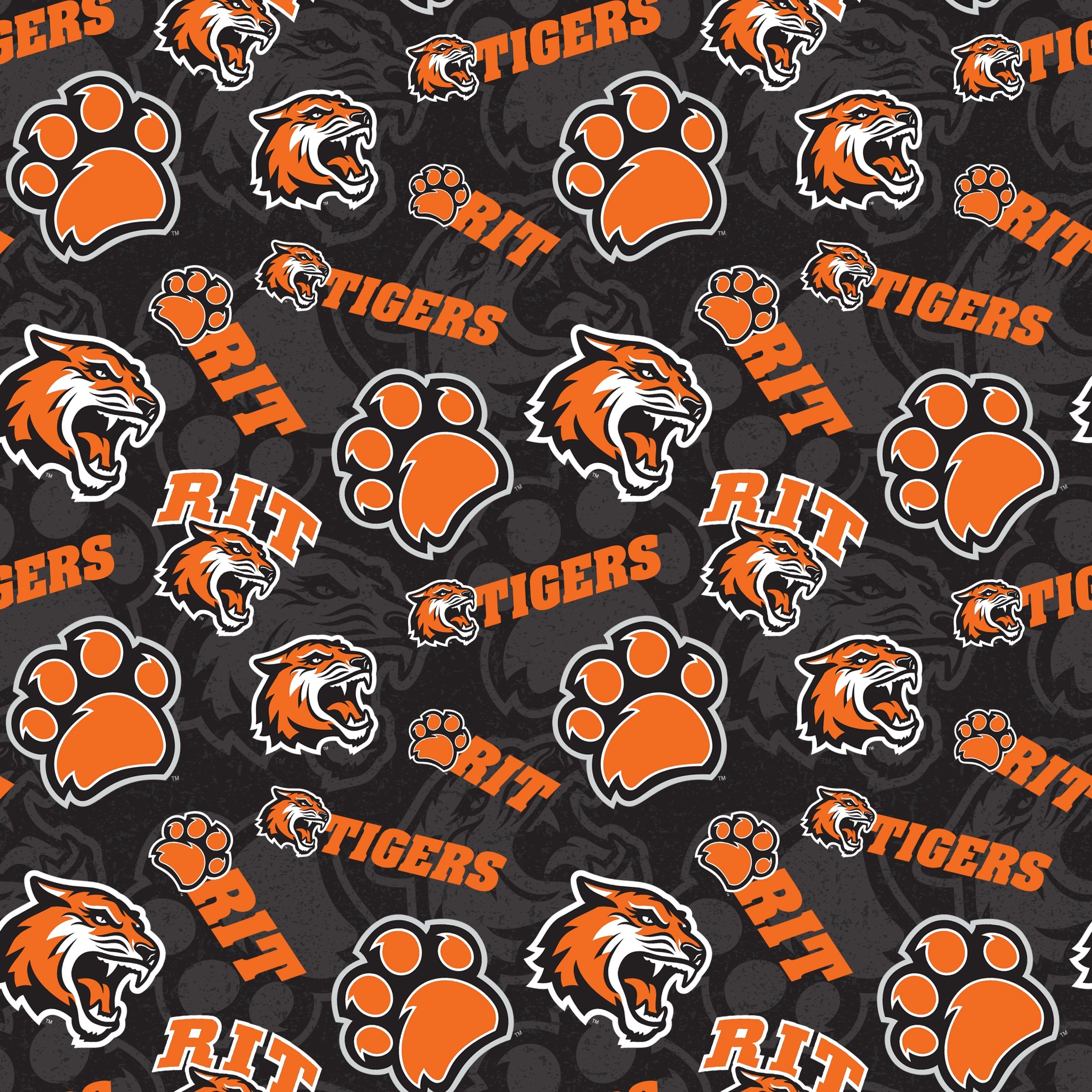 Rochester Institute of Technology