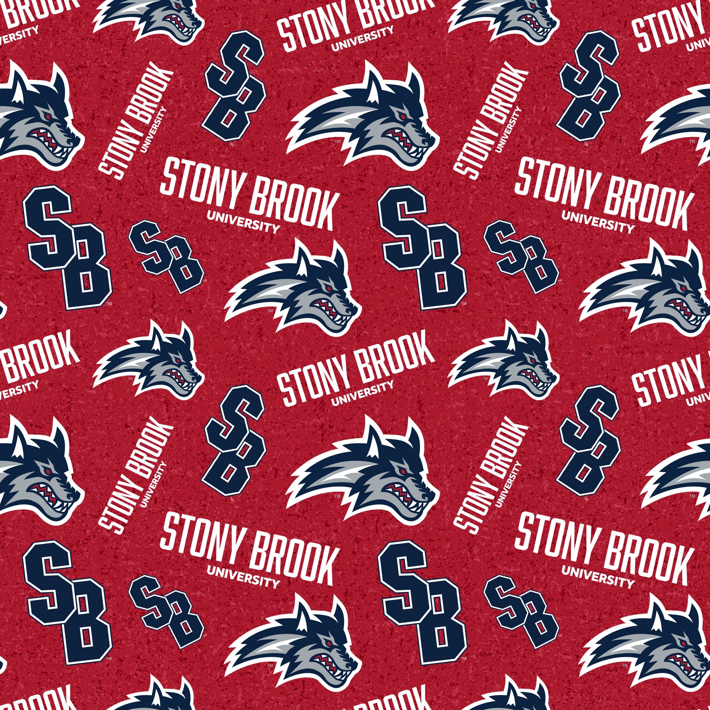 STONYBROOK UNIVERSITY