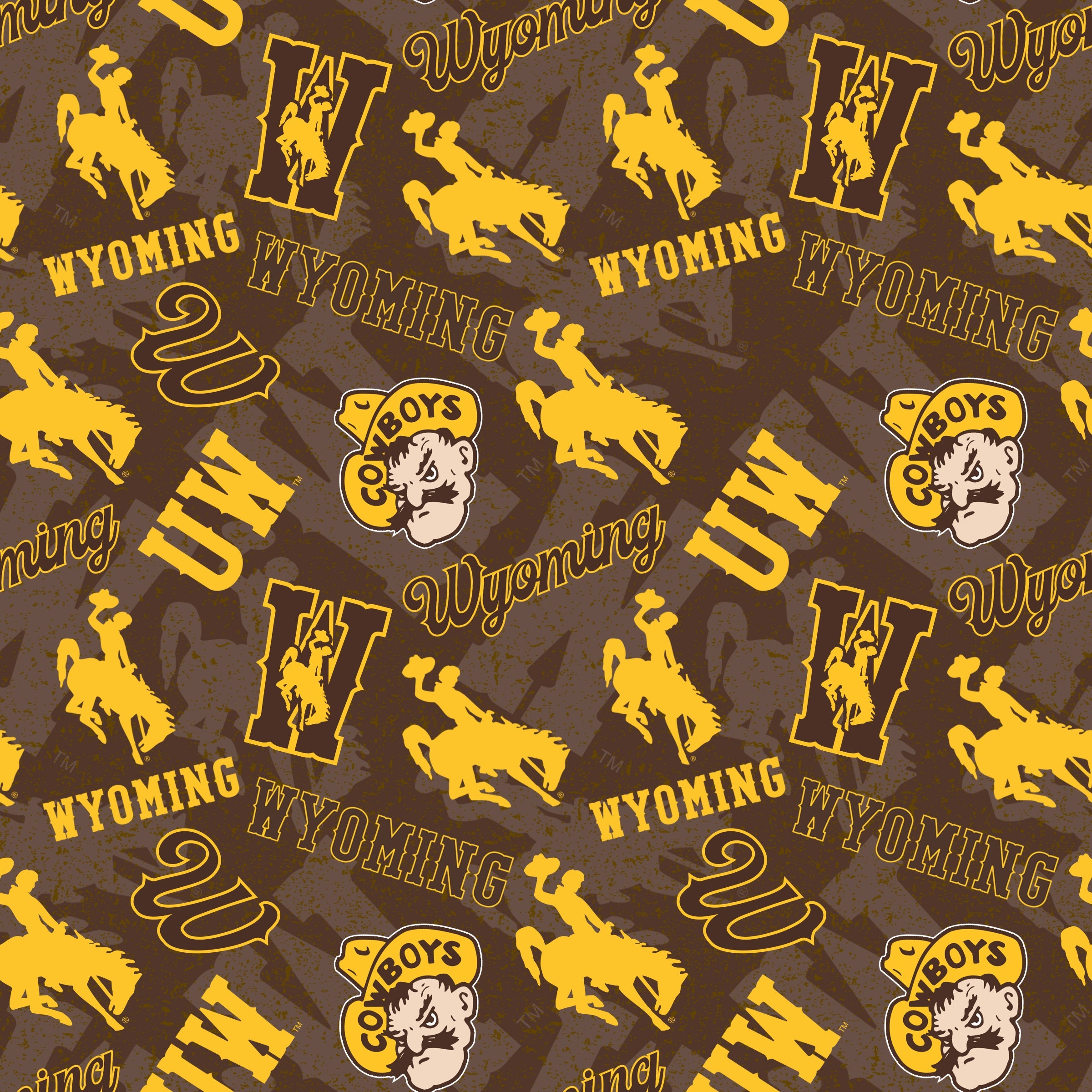 University of Wyoming