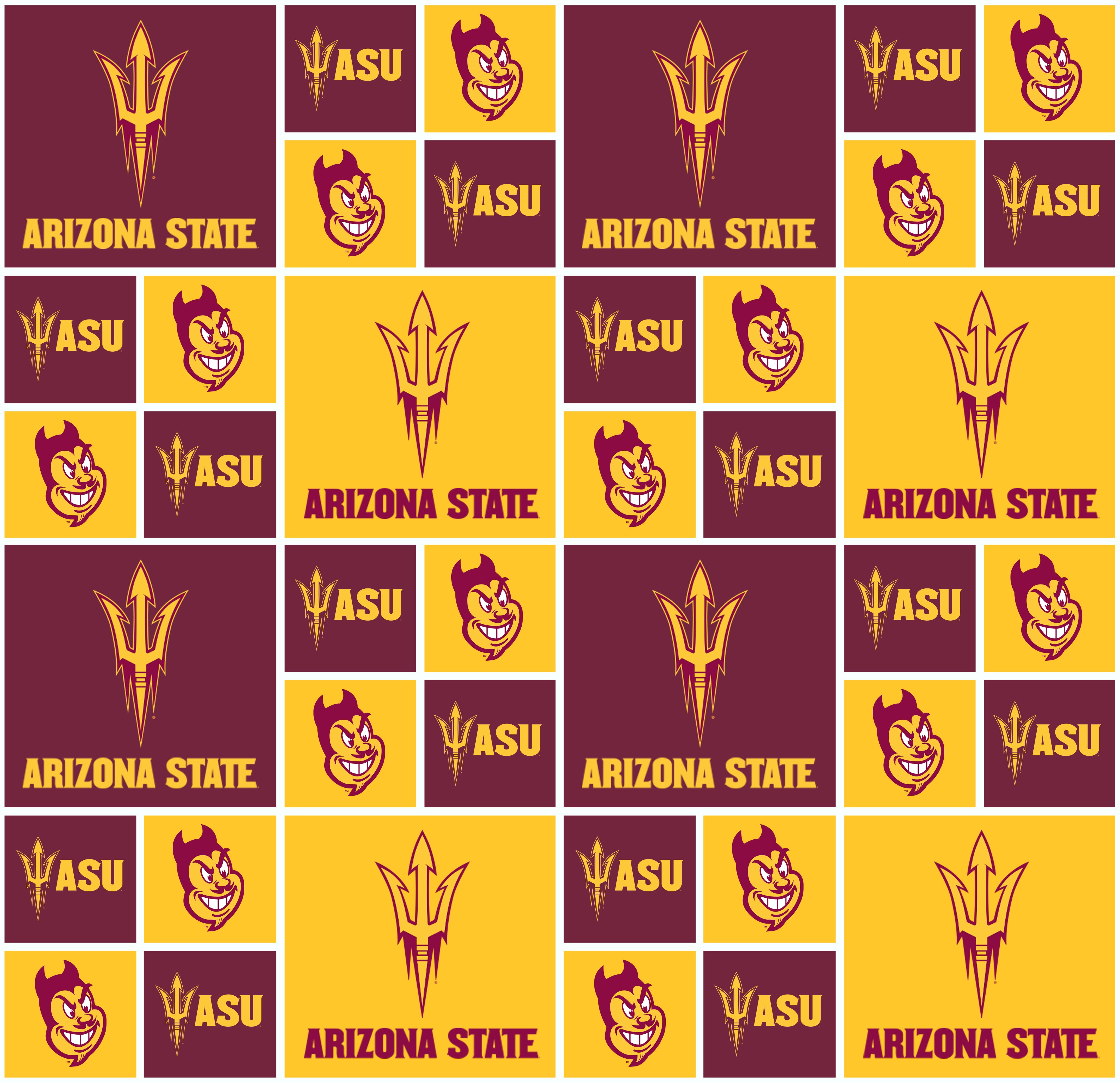 Arizona State University