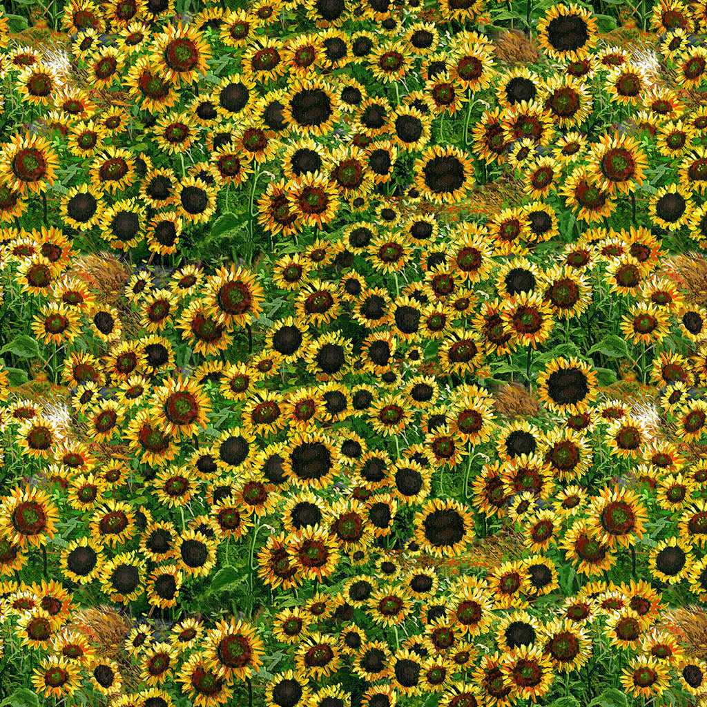 Farmall Sunflowers 10529